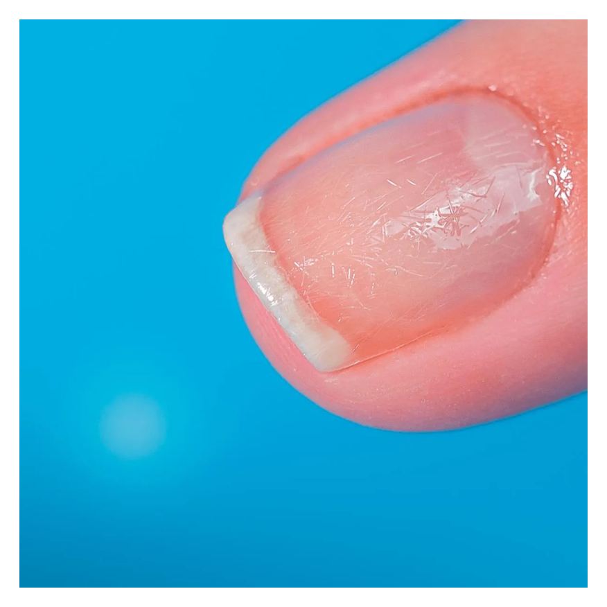 Blindagem Blant das Unhas Fibra de Nylon + Nivelador