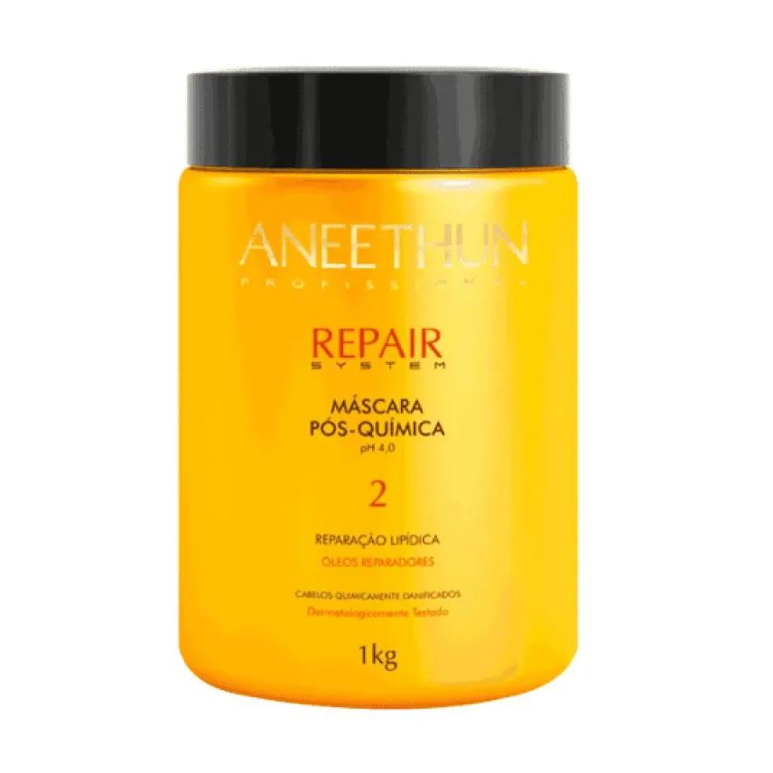 Aneethun - Repair System - Mascara Pos Quimica 1kg