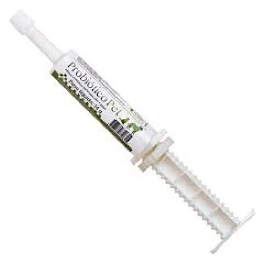 Avert Probiótico Pet Cães E Gatos 14g