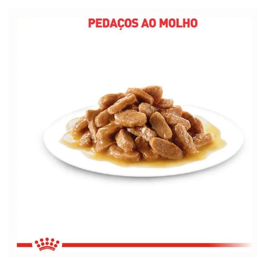 Kit 3 Sachê Royal Canin Hairball Bola Pelo Gato Adult 3X85g