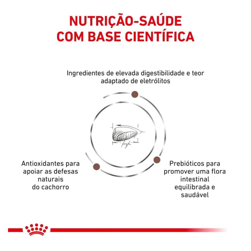 Royal Ração Canin Dieta Veterinária Gastrointestinal Puppy para Cães Filhotes 2,0kg
