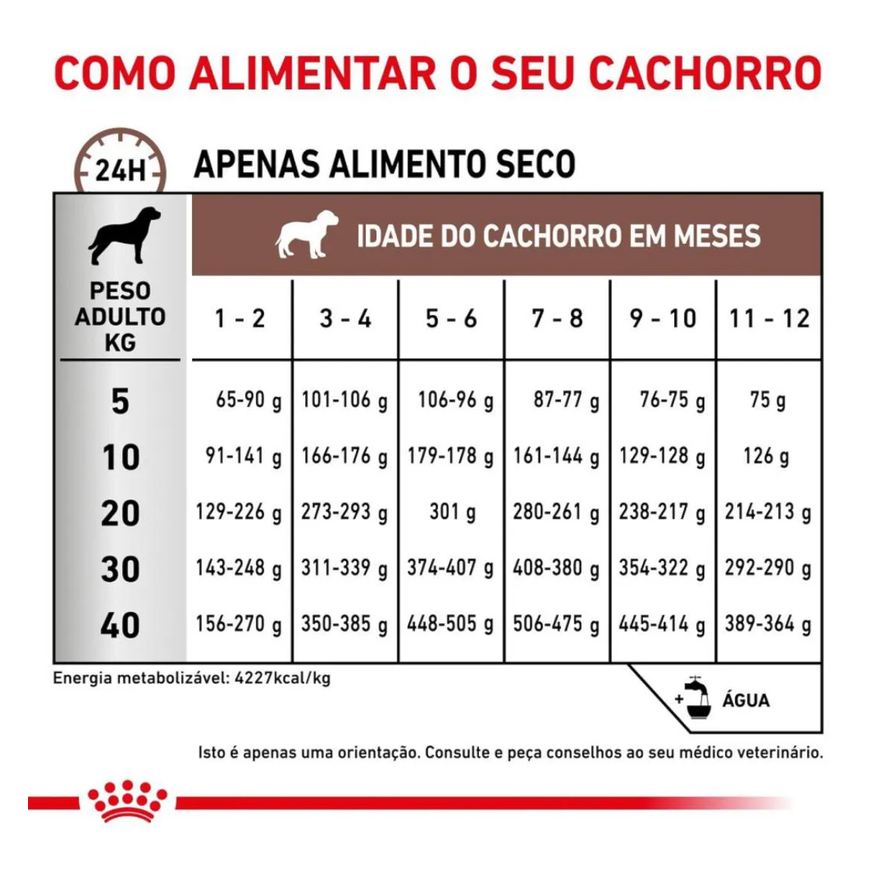 Royal Ração Canin Dieta Veterinária Gastrointestinal Puppy para Cães Filhotes 2,0kg
