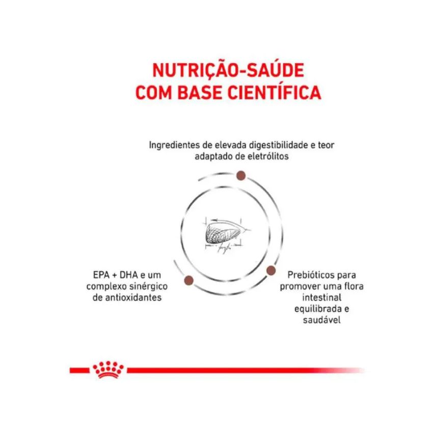 Royal Ração Canin Veterinary Diet Gastrointestinal para Gatos Adultos 4,0kg