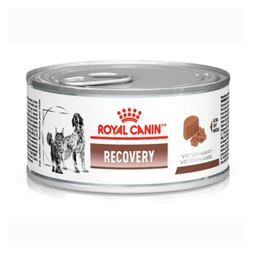 Úmida Ração Lata Royal Canin Dieta Veterinária Recovery para Cães e Gatos Adultos 195g
