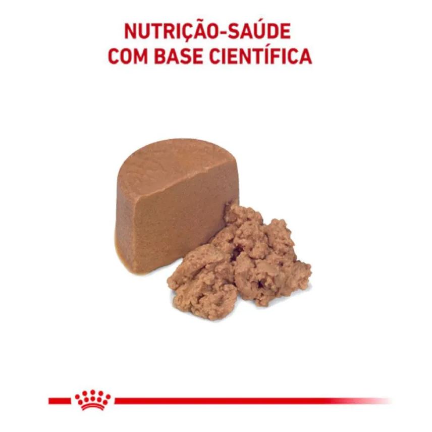 Úmida Ração Lata Royal Canin Dieta Veterinária Recovery para Cães e Gatos Adultos 195g
