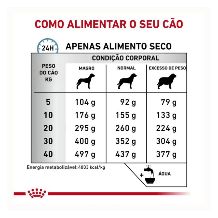 Royal Ração Canin Dieta Veterinária Anallergenic para Cães Adultos 4kg