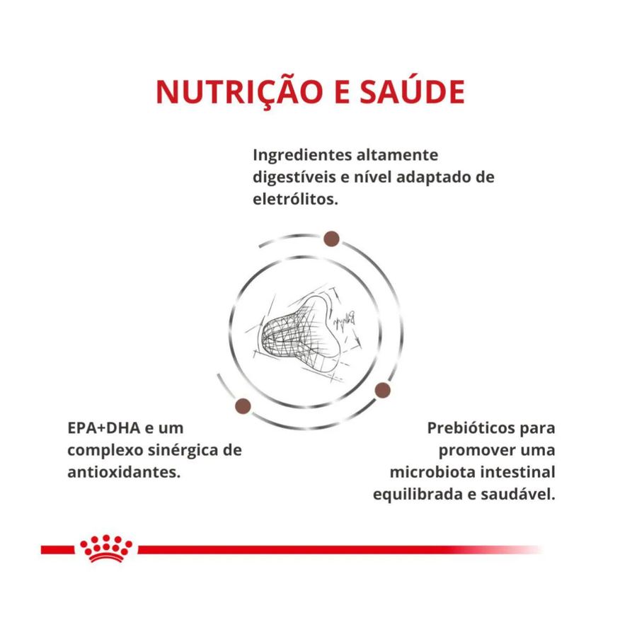Royal Ração Canin Dieta Veterinária Hepatic para Gatos Adultos com Insuficiência Hepática 1,5kg