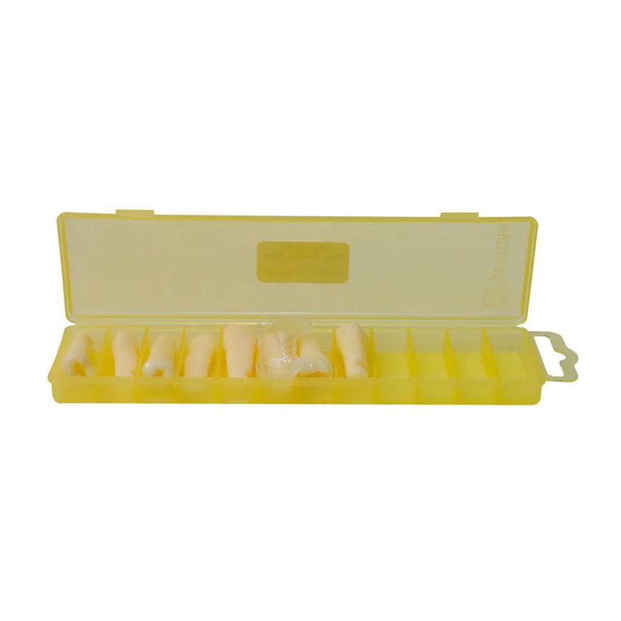 de Kit Dentes Cariados Reposição Mdt 044 Pronew