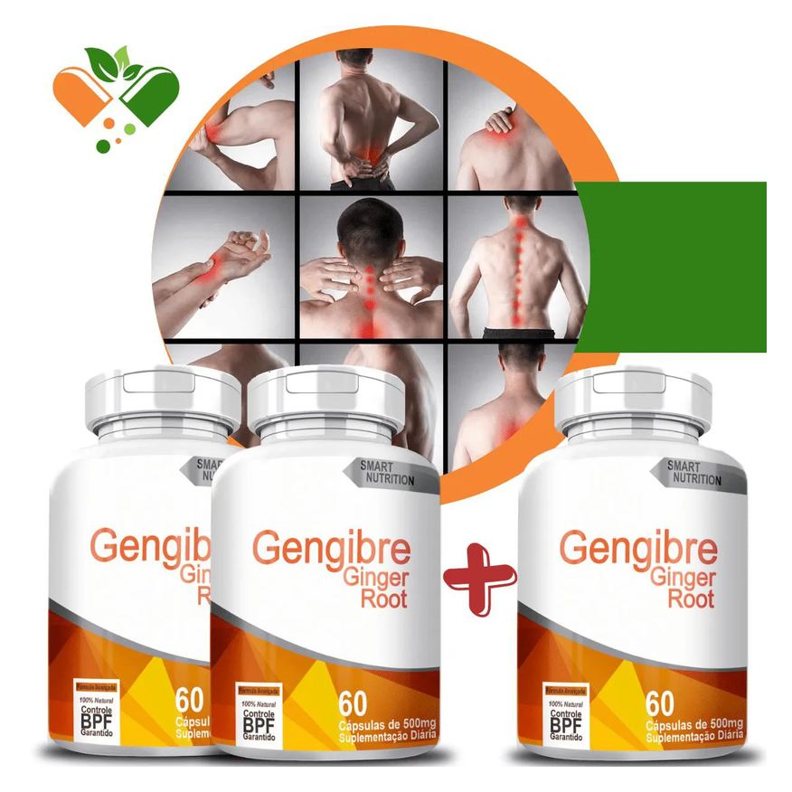 4Elementos Potes Gengibre 500mg 60 cápsulas